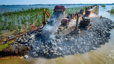 Khắc phục hậu quả vụ vỡ đê hồ Động Đình, Trung Quốc