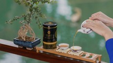 Trà Việt trong dòng chảy văn hóa 