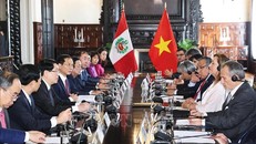 Chủ tịch nước Lương Cường hội đàm với Tổng thống Peru Dina Ercilia Boluarte Zegarra