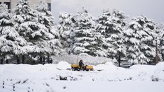 Hàn Quốc: Xem xét công bố vùng thảm họa vì tuyết rơi dày