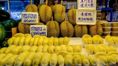 Trung Quốc tạm dừng nhập sầu riêng Thái Lan