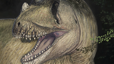 Tái tạo lại khủng long Tameryraptor markgrafi. Ảnh: independent