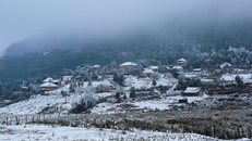 Chủ động ứng phó đợt rét đậm, rét hại kéo dài