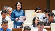 Đại biểu Nguyễn Hoàng Bảo Trân, đoàn Bình Dương.