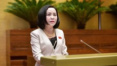 Phó Chủ tịch Quốc hội Nguyễn Thị Thanh điều hành phiên họp.