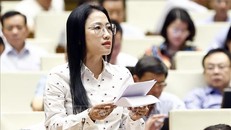 Đại biểu Quốc hội tỉnh Thái Bình Trần Khánh Thu. Ảnh: Doãn Tấn/TTXVN