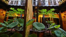 Tạm đóng cửa ba di tích trong khu Phố cổ Hà Nội