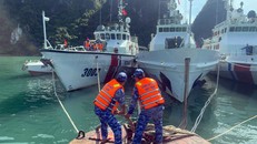 Các tàu tại khu vực tránh trú bão làm dây gia cố bảo đảm an toàn khi có gió mạnh quét qua.