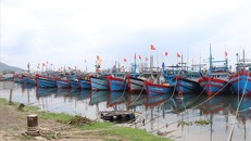 Các tàu thuyền phải vào bờ neo đậu an toàn trước 14 giờ ngày 24/9