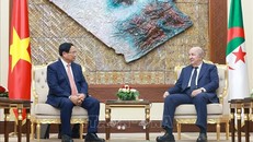 Thủ tướng Phạm Minh Chính hội kiến Tổng thống Algeria Abdelmadjid Tebboune. Ảnh: Dương Giang/TTXVN