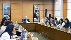 Đoàn đại biểu Quốc hội tỉnh Hưng Yên và TP Hải Phòng thảo luận ở tổ. Ảnh: Doãn Tấn/TTXVN