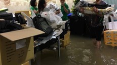 Trận mưa lớn khiến nhiều tuyến đường ở Sài Gòn ngập sâu, có nơi gần 1 m. Căn biệt thự và văn phòng của ca sĩ Đàm vĩnh Hưng cũng bị ảnh hưởng nặng nề. Trên trang cá nhân của đại diện truyền thông của Đàm Vĩnh Hưng đăng hình ngôi biệt thự của anh ngập trong