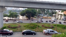 Hai ngày nay, người dân sinh sống tại tuyến phố Yên Lãng, Hoàng Cầu (quận Đống Đa, Hà Nội) bất ngờ với việc đơn vị thi công tiến hành trồng những cây “lạ” ở dải phân cách giữa đường. 