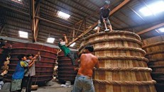 Nước mắm truyền thống đang vất vả tìm chỗ đứng. Ảnh: SGGP