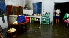 17h ngày 16/10, triều cường dâng cao kết hợp với trận mưa lớn đã làm một đoạn bờ đê gần cầu cống hộp số 4 trên đường TX25, khu phố 2, phường Thạnh Xuân, quận 12 vỡ, nước tràn vào nhà các hộ dân.