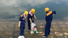 Lấy mẫu nước điều tra nguyên nhân 400kg cá chết tại hồ Linh Đàm