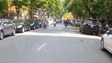Hà Nội thí điểm tuyến phố đỗ xe theo ngày chẵn, lẻ trong tháng 11