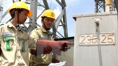 Ảnh chỉ có tính minh họa. (Ảnh: Ngọc Hà/TTXVN)