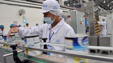 SCIC đặt quyết tâm bán vốn của Vinamilk trong năm nay.