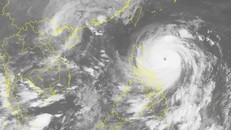 Trong khi bão Hải Mã có mắt bão rất rõ thì bão số 7 đã suy yếu, quầng mây không còn rõ khi vào đất liền Việt Nam. Ảnh: NCHMF. 