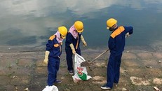 Lấy mẫu nước điều tra nguyên nhân 400kg cá chết tại hồ Linh Đàm