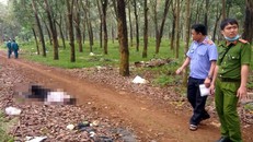 Phát hiện xác người đàn ông bán vé số trong lô cao su