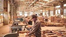 (Ảnh: Greeting Vietnam)