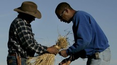 Từ cuối những năm 1800 cho đến đầu thế kỷ 21, các gia đình da màu đã mất gần 98% đất đai, và số lượng nông dân da màu đã giảm từ hơn 1 triệu người xuống còn dưới 50.000 người hiện nay. (Ảnh: USA Today)