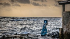 Một phụ nữ gánh hải sản vào bờ ở Senegal. (Ảnh: Imen Meliane & Julie Teng)