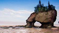 Công viên địa chất toàn cầu của UNESCO nỗ lực hành động chống biến đổi khí hậu