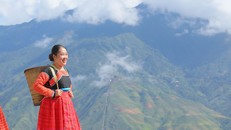 Hương trà thoáng trong mây