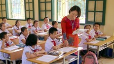 Các lớp học tiểu học được đặc biệt quan tâm. 