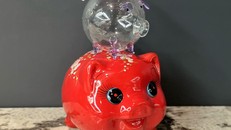 Giới trẻ Việt đua nhau nuôi heo đất và heo mini tích vàng 