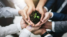 Lĩnh vực năng lượng sạch vẫn ghi nhận tin tốt. Ảnh: Getty Images