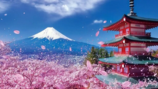 Khám phá "xứ sở hoa anh đào" tại triển lãm Du lịch Sáng tạo 2024. Ảnh: @sugoi.vn