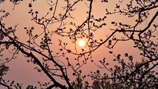 Chuyện về số Một 