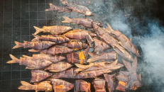 Đánh bắt cá trong sa mạc: Khai phá tiềm năng của hồ Turkana