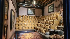 Ảnh chụp tại Bảo tàng Y học cổ truyền FITO Museum 