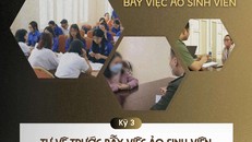 Vạch trần bẫy việc ảo sinh viên - Kỳ cuối: Tự vệ trước bẫy việc ảo sinh viên
