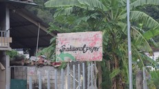 Hồn giấy Dìa Trên