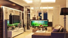 7 nơi cấm kị đặt bể cá trong nhà bạn bên biết