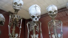 Khám phá những bảo tàng có '1-0-2' khiến người xem phải khiếp sợ