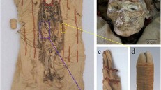 Phát hiện gậy mỹ phẩm làm từ tim bò 3.600 tuổi chôn cùng xác ướp