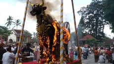 1001 thủ tục mai táng người chết lạ lùng nhất thế giới