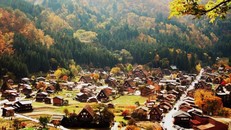 Khám phá làng cổ làng cổ Shirakawa-go và Gokayama ở Nhật