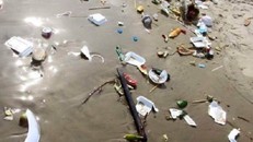 ‘Ơn giời, hết Tết rồi!’