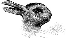 Đây là con vịt hay con thỏ?