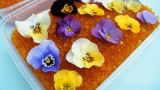 7 công dụng cực hữu ích không ai ngờ tới của gói hút ẩm