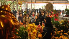 Những lưu ý không được quên khi đi lễ chùa đầu năm