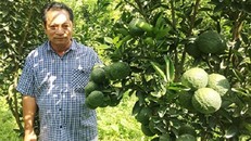 Chuyện về một tỷ phú đi dép lê